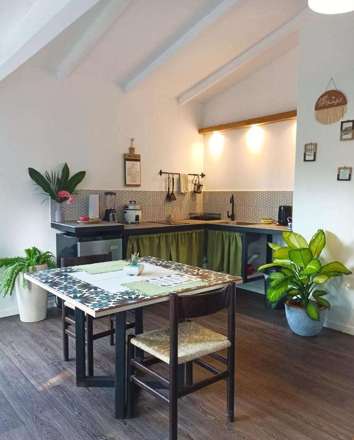 Chilamate Holiday House Puerto Viejo de Talamanca 외부 사진