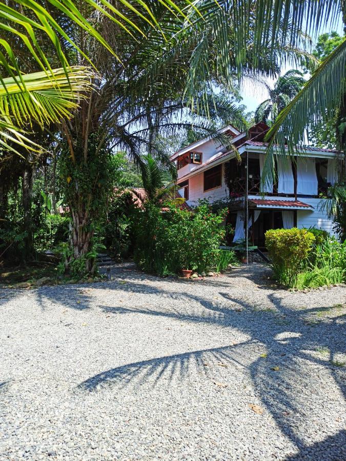 Chilamate Holiday House Puerto Viejo de Talamanca 외부 사진