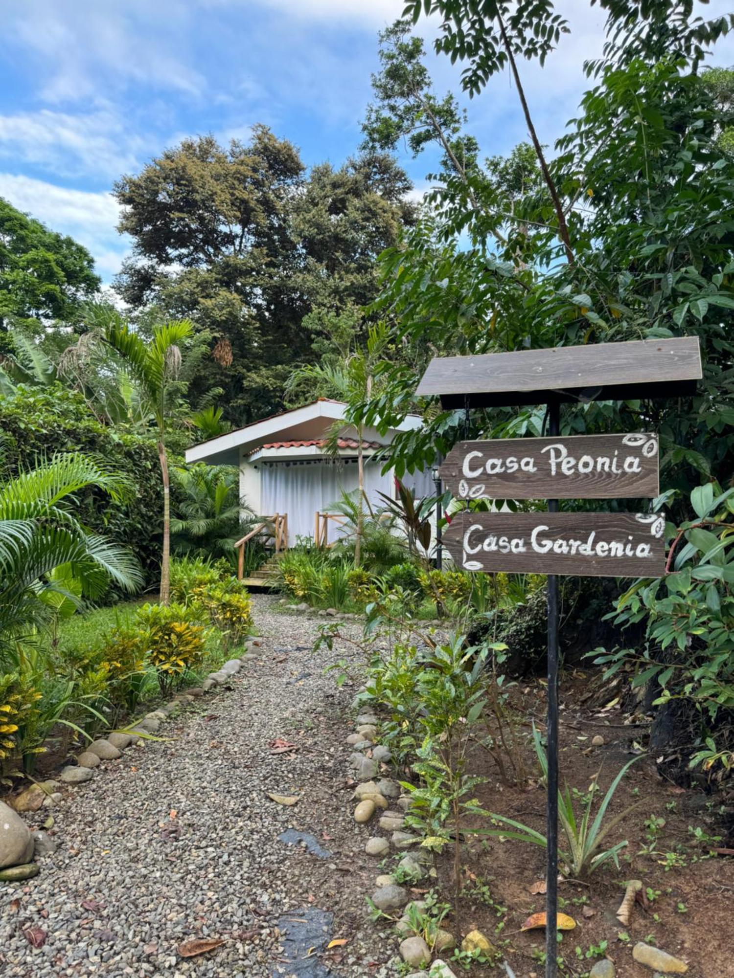 Puerto Viejo de Talamanca Chilamate Holiday House 아파트 외부 사진