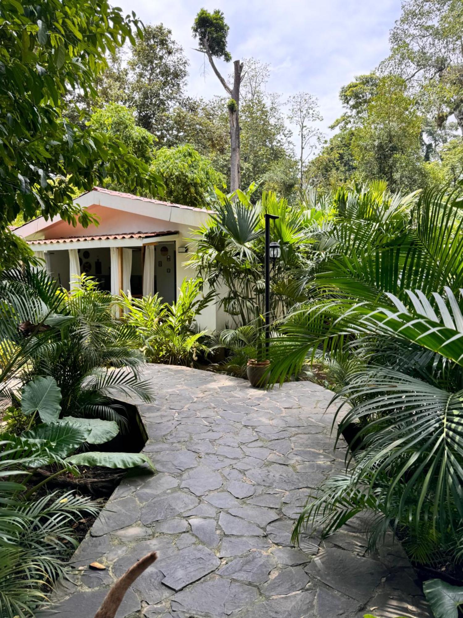Chilamate Holiday House Puerto Viejo de Talamanca 외부 사진