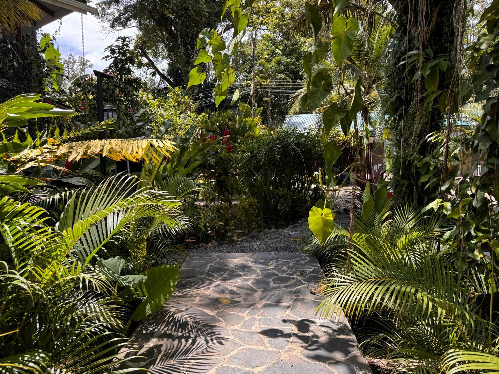 Chilamate Holiday House Puerto Viejo de Talamanca 외부 사진