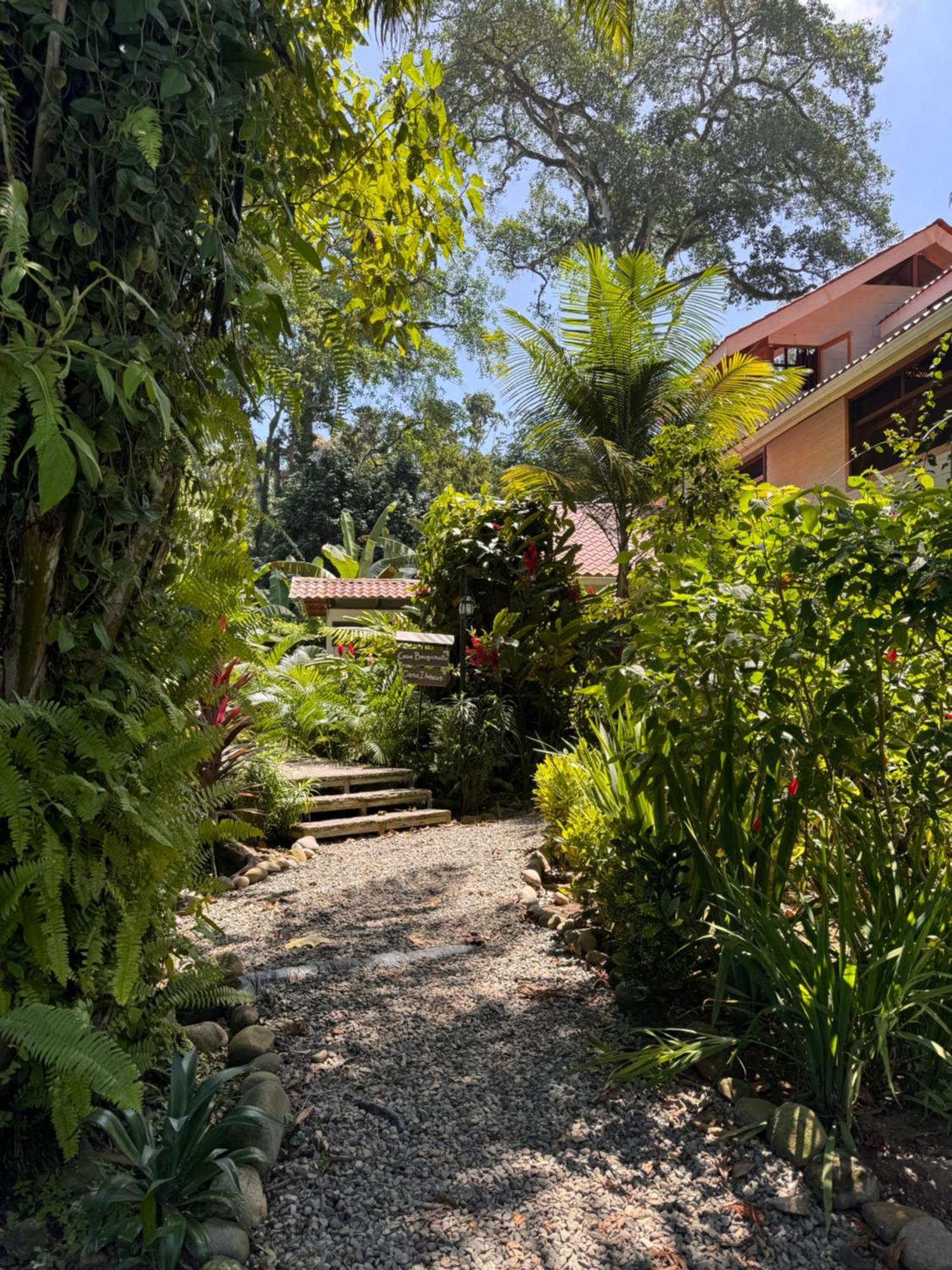 Chilamate Holiday House Puerto Viejo de Talamanca 외부 사진